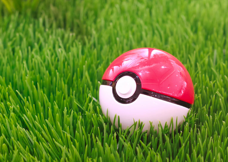 Pokémon